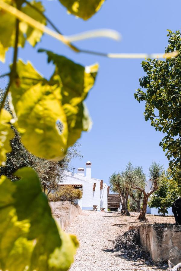 Monte Do Pomar ξενώνας Redondo Εξωτερικό φωτογραφία
